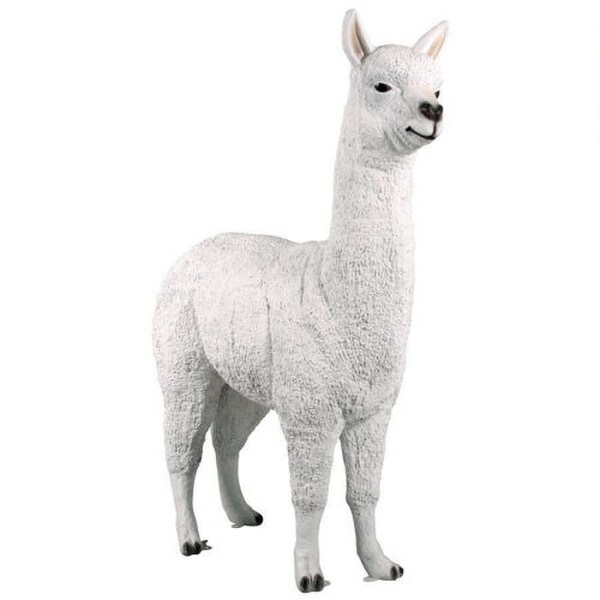 Alpaca Life Size Garden Statue Realistic Sculpture Animal Fiberglass